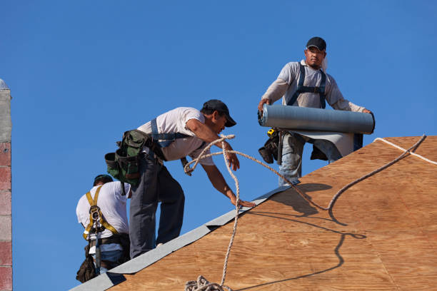 Best Roof Gutter Cleaning  in Markle, IN